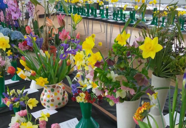 Members of California Gardeners Club filled the Ratepayers Hall will their spring flowers at the weekend. Pictures: CGC