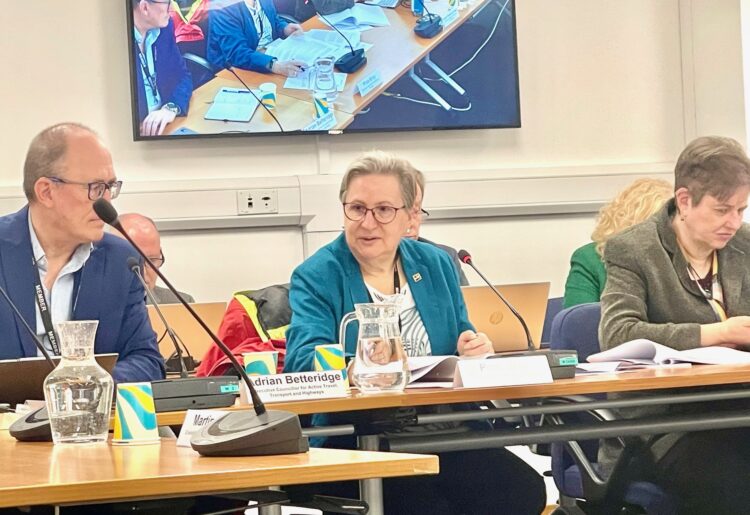 Cllr Prue Bray chaied the meeting last week. Pic: Andrew Batt.