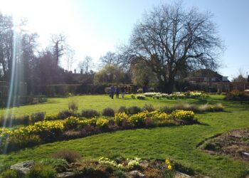 The Ridgeline Trust has created a garden in East Reading, from which it helps people with therapeutic sessions led by volunteers Pictures: Ridgeline Trust