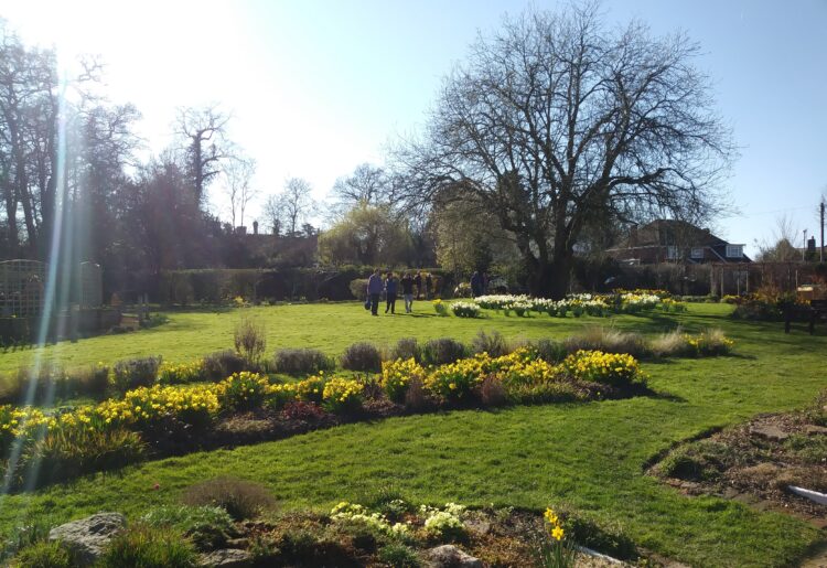 The Ridgeline Trust has created a garden in East Reading, from which it helps people with therapeutic sessions led by volunteers Pictures: Ridgeline Trust