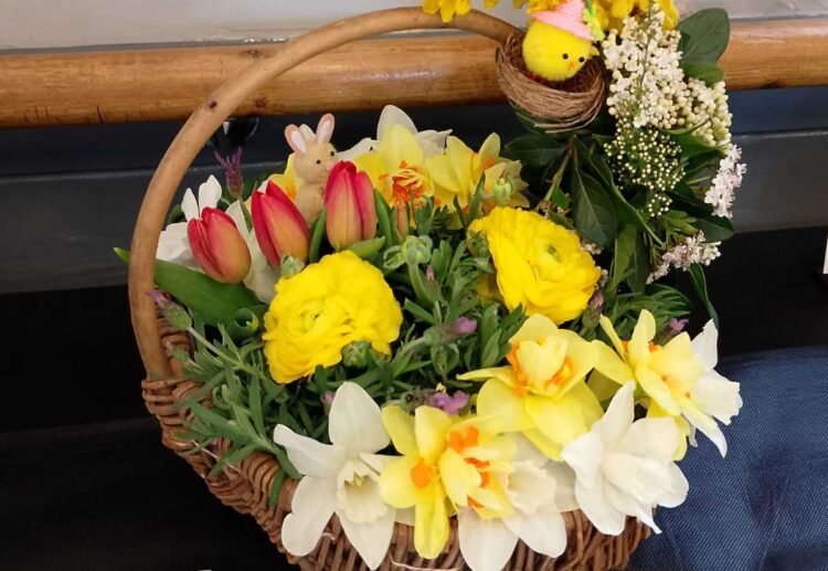 California Gardeners Club's Spring Show enjoyed a record number of entries this year. Picture: CGC