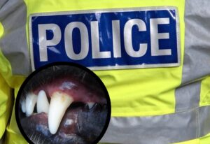 Thames Valley Police are appealing for witnesses