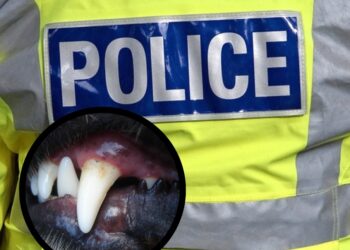 Thames Valley Police are appealing for witnesses