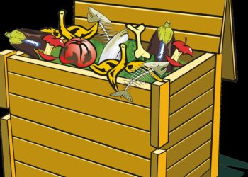 Image by Francis Ray from Pixabay.