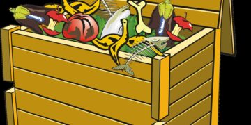 Image by Francis Ray from Pixabay.