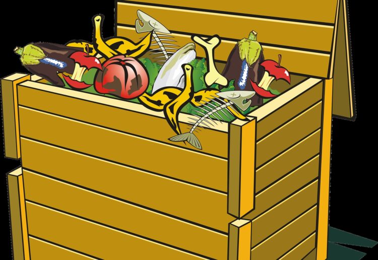 Image by Francis Ray from Pixabay.