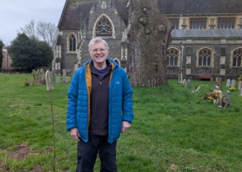Andy Clark with the new St Paul's Church rowan and the stump of the Cedar of Lebanon. Picture: St Paul's Church