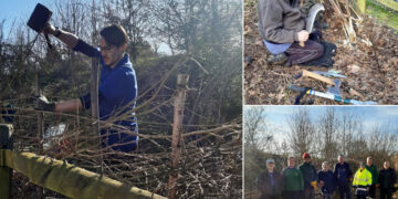 Wokingham borough council?s Countryside Service Rangers has been teaching volunteers.