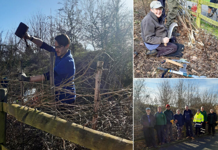 Wokingham borough council?s Countryside Service Rangers has been teaching volunteers.