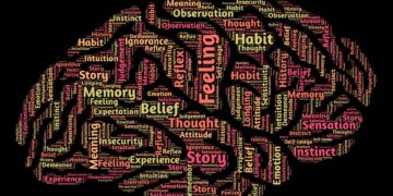 Image by John Hain from Pixabay .