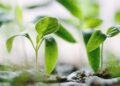 During Christian Aid Week the charity asks the borough to help support the charity's work with some of the world's poorest people. Picture: Francesco Gallarotti via Unsplash