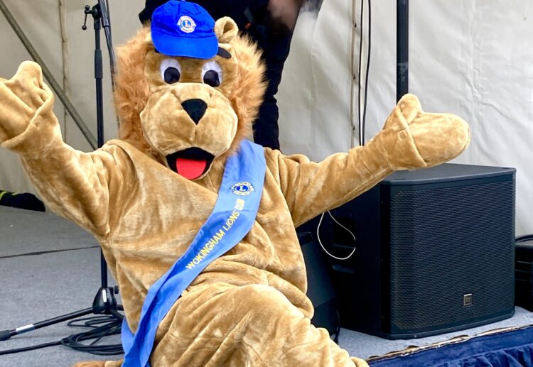 The Wokingham Lions May Fayre  returns tomorrow! PIcture: Emma Merchant