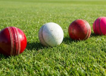 Cricket Picture: RisingStudio07, Pixabay