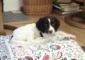 Red has returned to live in Bracknell.`