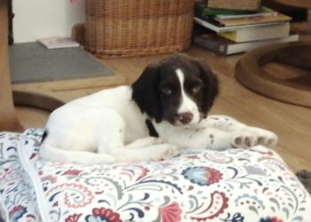 Red has returned to live in Bracknell.`