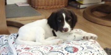 Red has returned to live in Bracknell.`
