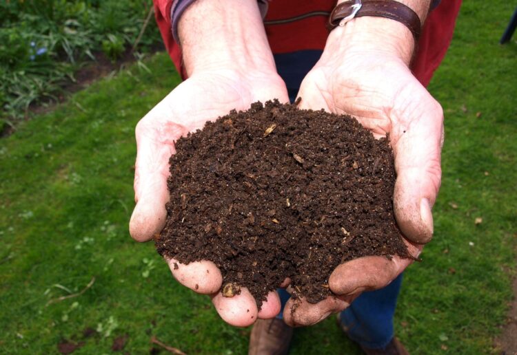Ben Pope will talk about how to make the best of what you have in the garden. Picture: Joke vander Leij via Pixabay