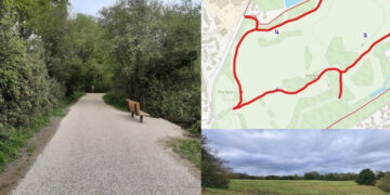 Ashenbury Park is to get new footpaths. Picture: WBC