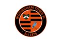 The new Wokingham Town FC badge