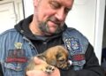 Bikers demonstrate puppy love at DBARC