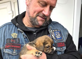 Bikers demonstrate puppy love at DBARC