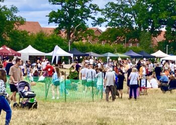 SAFE's Family Fun Day at Cantley Park offered a wide range of attractions for families. Pictures: Emma Merchant