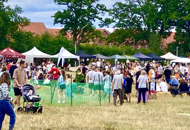 SAFE's Family Fun Day at Cantley Park offered a wide range of attractions for families. Pictures: Emma Merchant