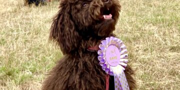 Last year's puppy winner. Picture: Emma Merchant