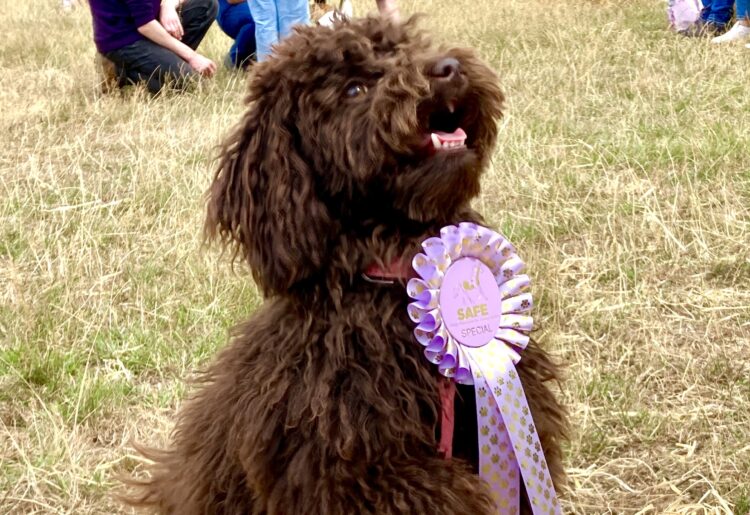 Last year's puppy winner. Picture: Emma Merchant