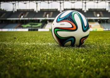 This Summer's World Cup could be one of the most dangerous ever, a scientist has warned, as the competition begins in earnest. Picture: Michal Jarmoluk via Pixabay