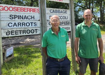 Peter and Paul Gray at the PYO strawberry farm in Heathlands Road.