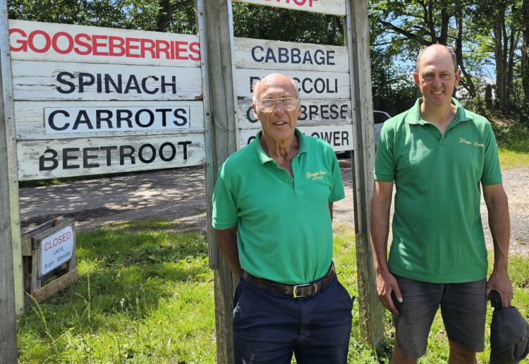 Peter and Paul Gray at the PYO strawberry farm in Heathlands Road.