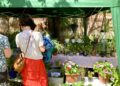 WADE's Summer Fayre was a sunny delight. Picture: Emma Merchant