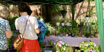 WADE's Summer Fayre was a sunny delight. Picture: Emma Merchant
