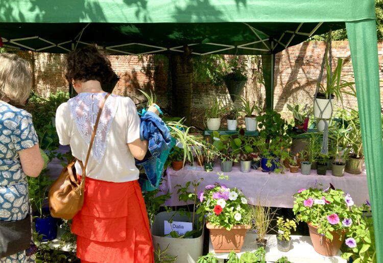 WADE's Summer Fayre was a sunny delight. Picture: Emma Merchant