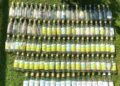 A serial bottle discarder is blighting a Matthewsgreen roundabout. Picture: Wokingham resident