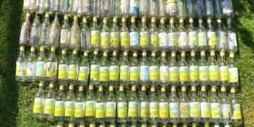 A serial bottle discarder is blighting a Matthewsgreen roundabout. Picture: Wokingham resident