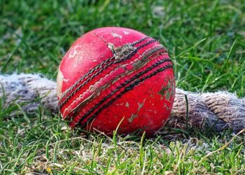 Cricket Picture: Wikimedia Commons