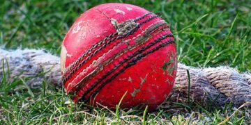 Cricket Picture: Wikimedia Commons
