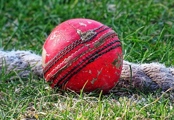 Cricket Picture: Wikimedia Commons