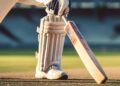 Cricket Picture: Pixabay