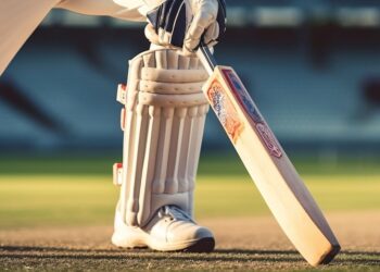 Cricket Picture: Pixabay