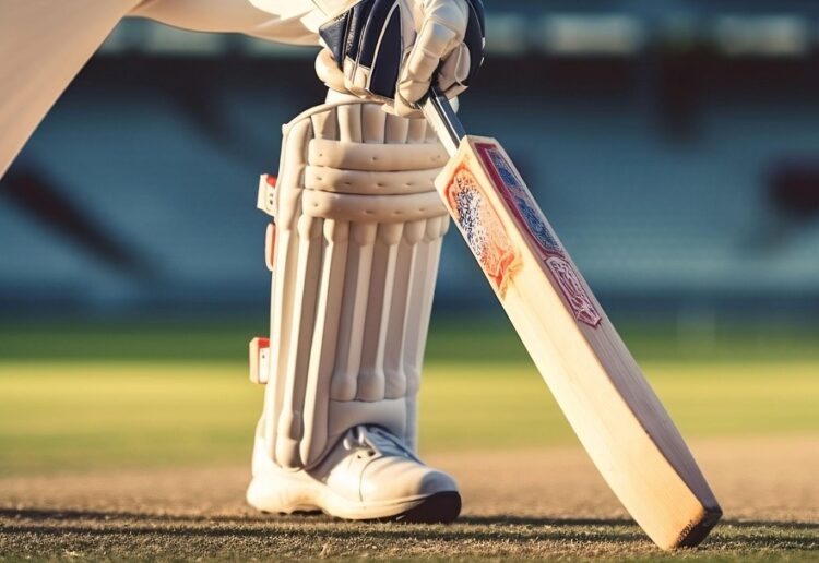 Cricket Picture: Pixabay