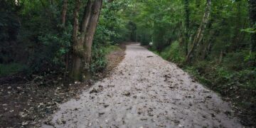 Footpath 33 running through Fleet Copse south of Finchampstead Village