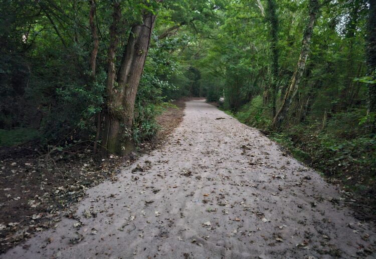 Footpath 33 running through Fleet Copse south of Finchampstead Village