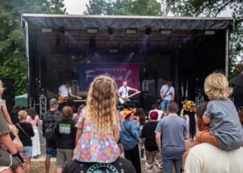 Wokingham Festival Picture: Andrew Merritt