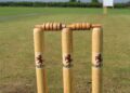 Cricket Picture: Pixabay