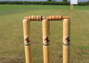 Cricket Picture: Pixabay