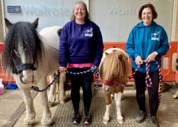 Luca and Seguro, SAFE mascots, helped to advertise the charity's summer fun day in July. Picture: Emma Merchant