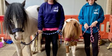 Luca and Seguro, SAFE mascots, helped to advertise the charity's summer fun day in July. Picture: Emma Merchant